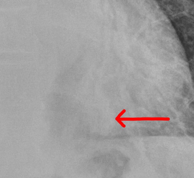 00259778_CR_20191230183_20191230_001 1.jpg