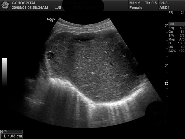 00127554_US_20200501115_20200501_001